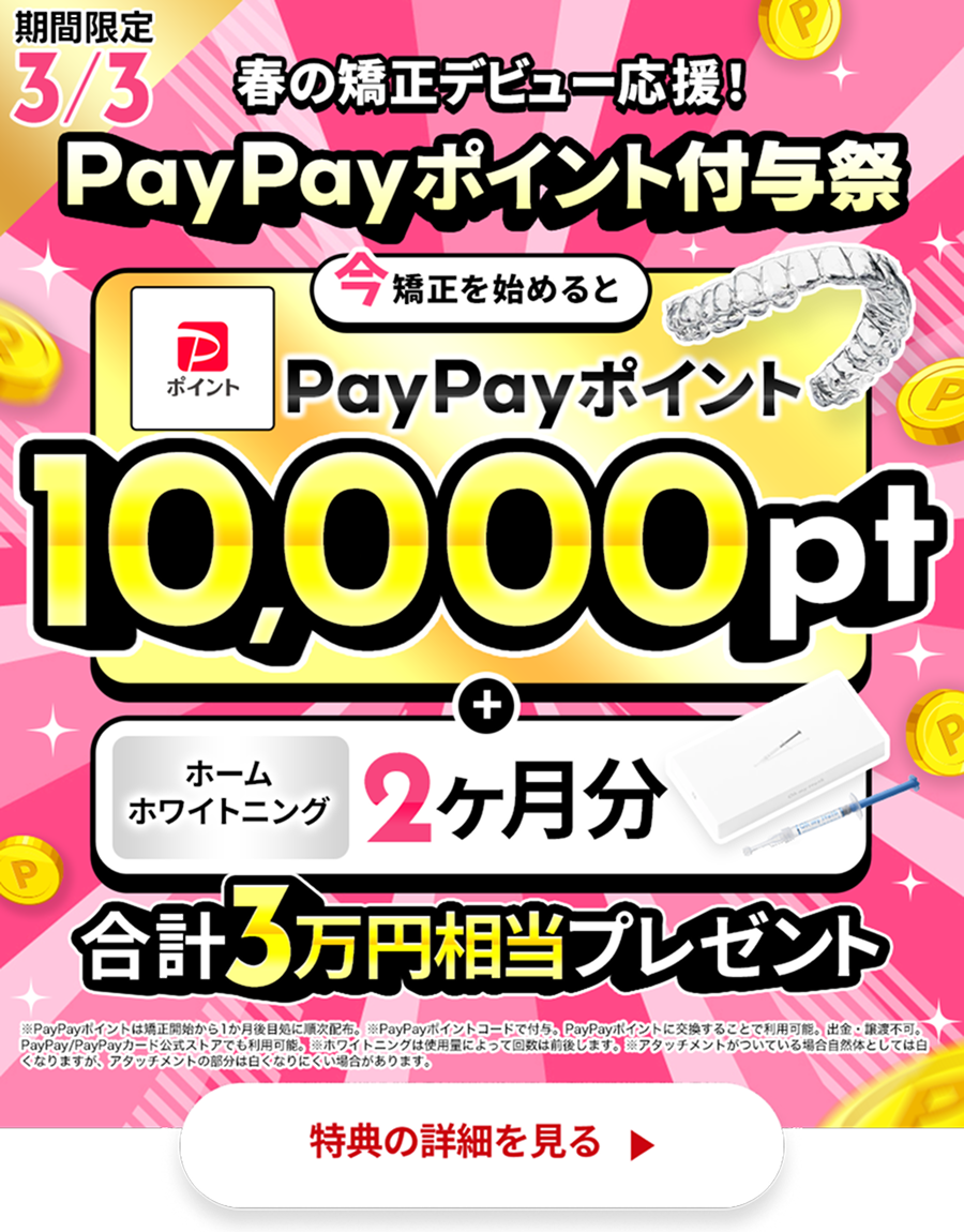 PayPayポイント付与キャンペーン