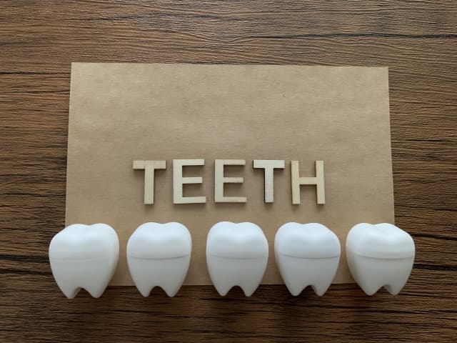 teeth 歯　4