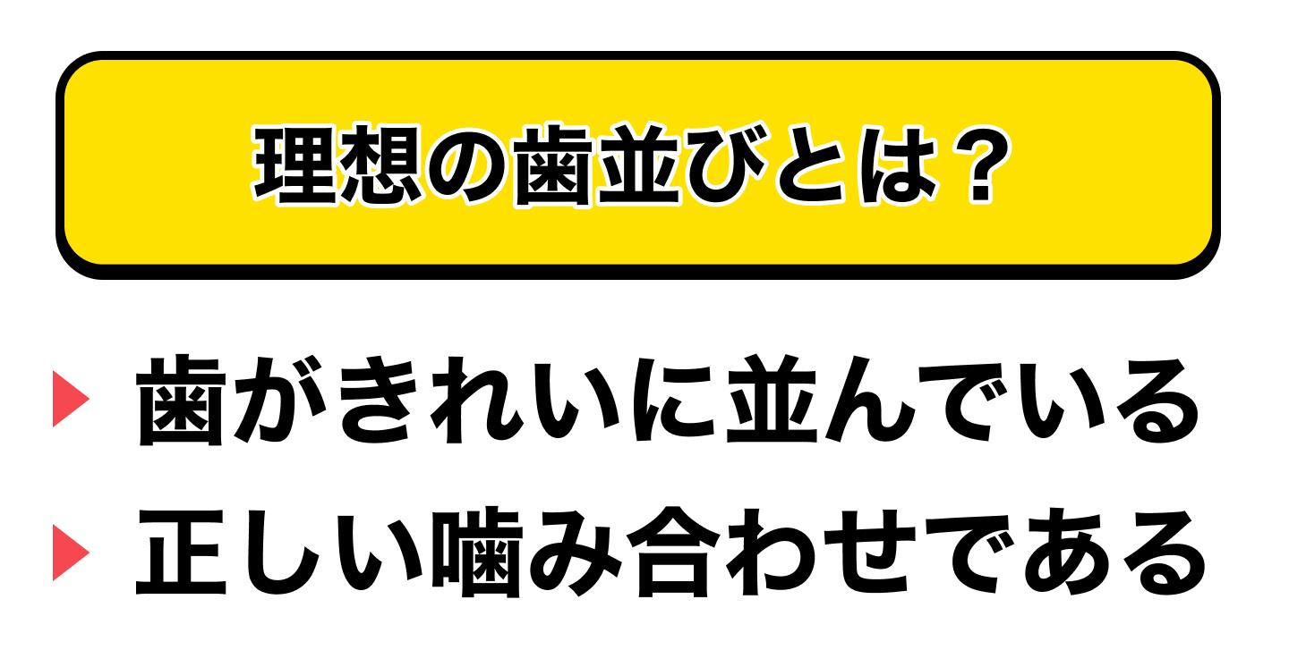 理想の歯並びに必要な2つの条件