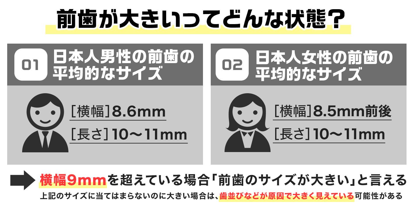 前歯が大きいってどんな状態？日本人の前歯の平均サイズ